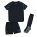 Camisa de Futebol Manchester City Equipamento Alternativo Infantil 2023-24 Manga Curta (+ Calças curtas)